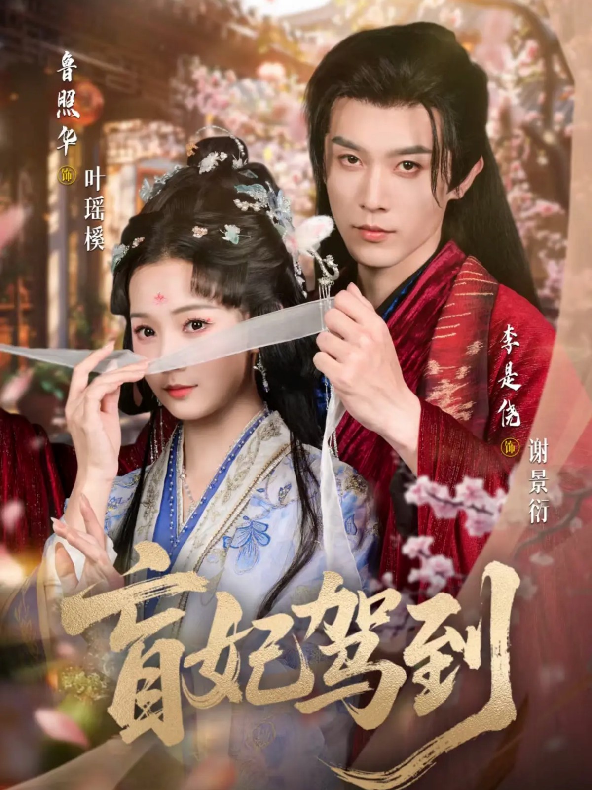 盲妃驾到